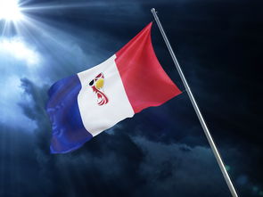 综合格斗赛场焦点！德国队对阵比利时队，强强对话引爆全球球迷关注