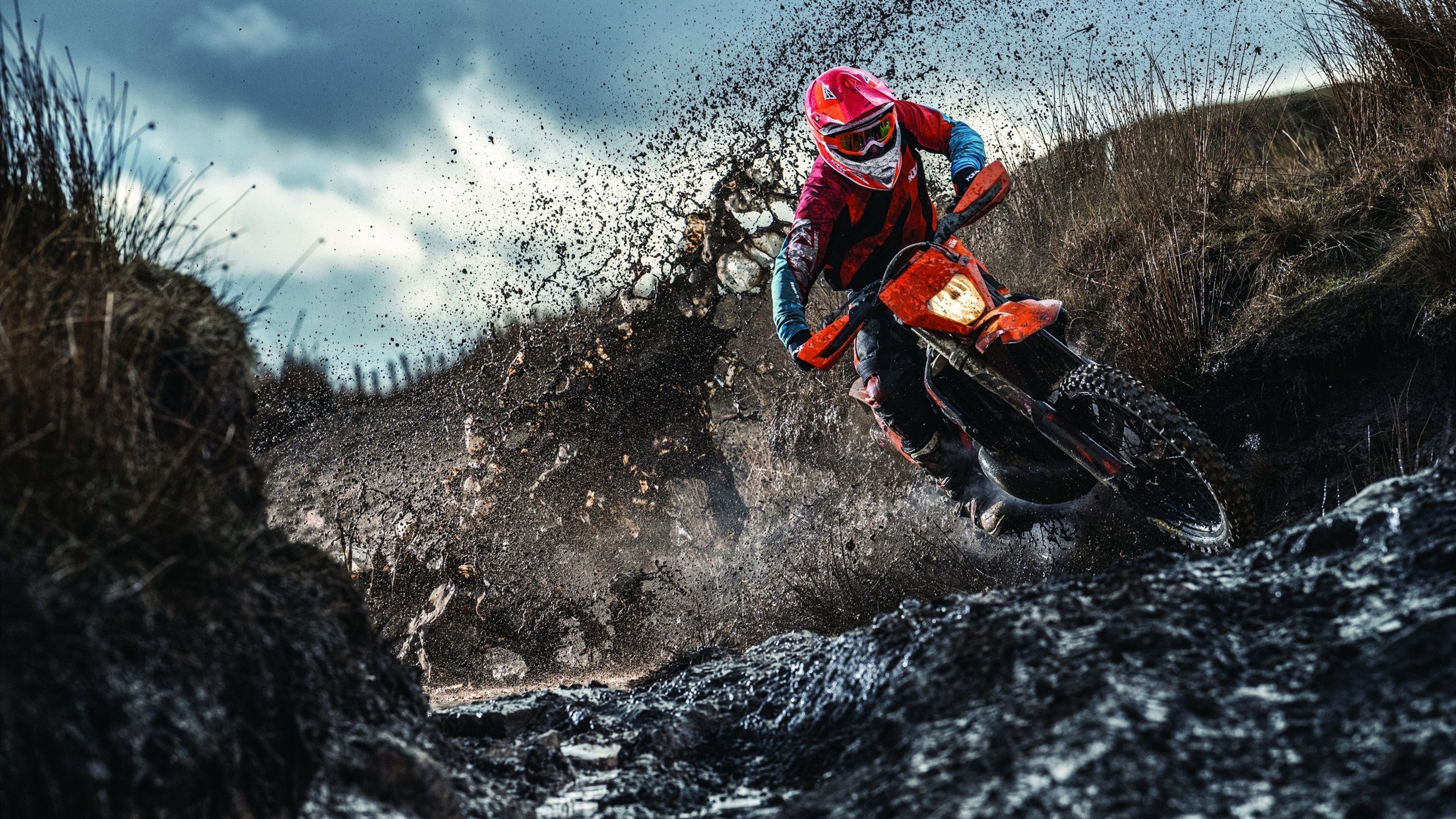 科维托娃回归赛场，精彩发挥首场状态亮眼，DWG观众沸腾！